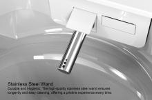 Stainless Steel Wand.jpg